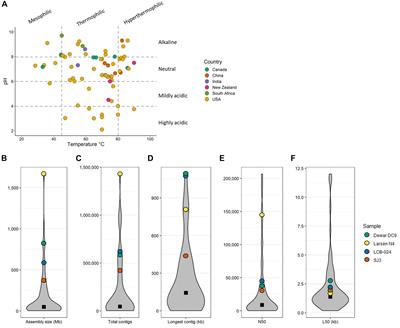 High Potential for Biomass-Degrading Enzymes Revealed by Hot Spring Metagenomics